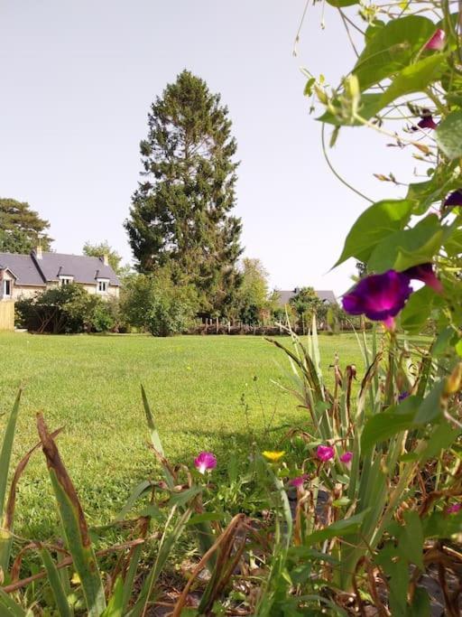 Gite-appartement Sur La Cote D'emeraude Apartment